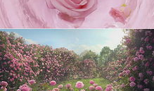 花视频,捕捉瞬间之美，感受生命律动